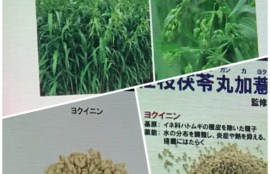 膝やくるぶしの黒ずみを取る 皮膚科専門医dr Miko