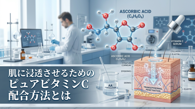ビタミンC　浸透